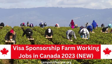 Farm Jobs In Canada with Visa Sponsorship Free 2022- URGENT!!